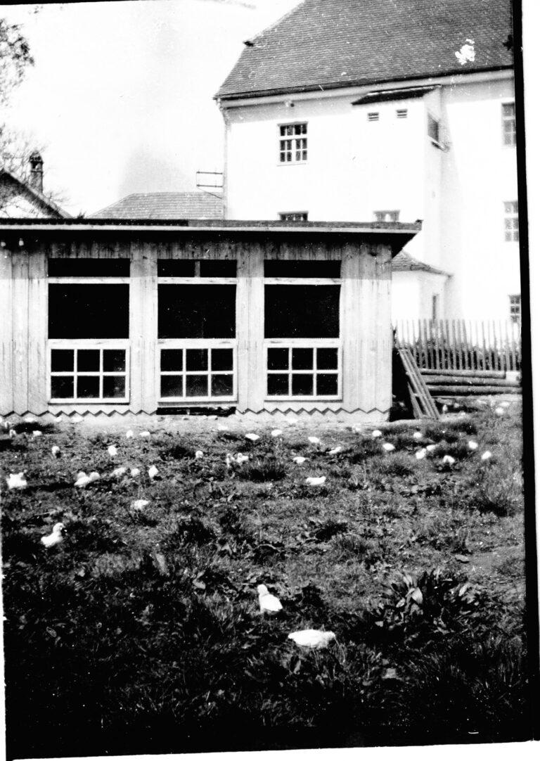 Album1Neuching31