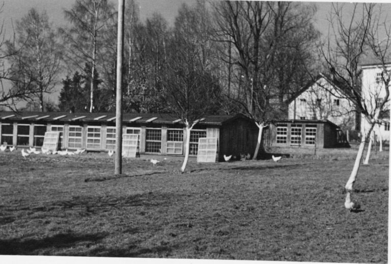 Methmühle5